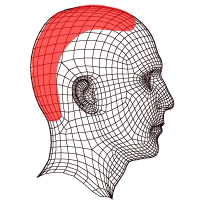 caras_Ibuflash-04